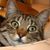 Suzanne Vansteenberg's profile image