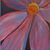 Kathy Whitney's profile image