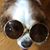 Sheila Flynn Swensen's profile image