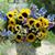 Linda Lohrke's profile image