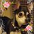 Jami Ryan's profile image