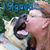 Ginger Hetrick Ccdt Sdc's profile image