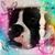 Carol Ann Young Crawford's profile image