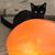 Jeannie Middleton Murray's profile image