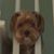 Stephanie James's profile image