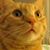 Katy Stukel's profile image
