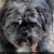 Sabrina Olson-Padfield's profile image
