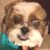 Marquita Drayton's profile image