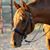 Jamie A. Stine's profile image