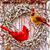 Sue Gagne's profile image