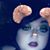 Brittany Seale's profile image