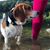 Angie Waugh Morgan's profile image