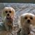 Mary Ann Johnson's profile image