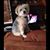 Liz Menard's profile image