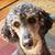Ann Conaway's profile image