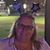 Constance Marie Blackman's profile image