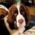 Melonie Rehbein Dappie's profile image