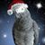 Michaelann Heinley's profile image