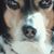 Bob Malik's profile image