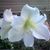 Linda Hawley's profile image