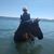 Pam Skinner's profile image