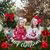 Lisa Adams Lewis's profile image