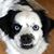Edie Brogan's profile image