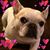 Jeff Mayorga's profile image