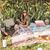 Francoise Toneto's profile image