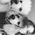 Holly Stoughton's profile image
