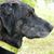Tracy Mossberg Mapes's profile image