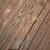 Kristie Schmittou Williams's profile image