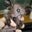 Daniel Lucas's profile image