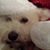 Margueritte Gilvey's profile image
