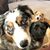 Jana Lynne Barrett's profile image