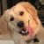 Jerry Colella's profile image