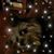 Annie R Bruckner's profile image