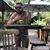 Marcello Rodrigues's profile image