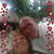 Susy De Gonzalez Angelats's profile image