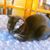 Janie Willis's profile image