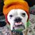Spike Tucker's profile image