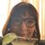 Lynn Conner's profile image