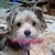 Sandra Pignolet's profile image