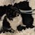 Alicia Salha's profile image