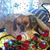 Kathy Wyatt's profile image