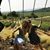 Gina L. Riggs's profile image