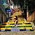 Yamy Paez P's profile image