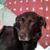 Ginny Ray's profile image