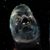 Ron WhiteJr's profile image