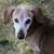 Kathy Kirk's profile image